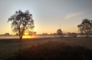 Nieuwe naam, nieuw logo en vernieuwde website SAG autismenetwerk!!