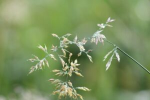 Contactmiddag Autisme in Drempt