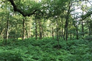 Themabijeenkomst Autisme en Veranderingen