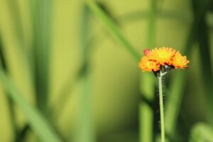 Contactmiddag Autisme in Drempt