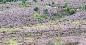 Contactmiddag Autisme in Drempt