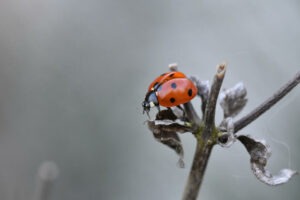 Themabijeenkomst Autisme en Veranderingen