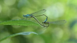 Themabijeenkomst Autisme en Veranderingen