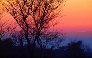 Contactmiddag Autisme in Drempt